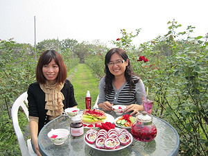 到屏東有機玫瑰花田  免費採花品香味