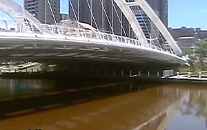 高雄愛河飄惡臭 疑因褐藻熱死腐壞