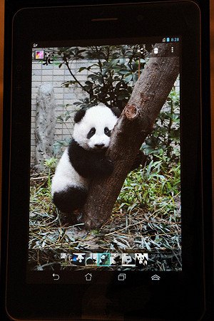 紅到瓜國！郝龍斌把「圓仔」藏平板出訪