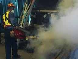 高雄再現登革出血熱病例 今年第4例