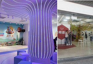 兩總部都有「樹」 蔡正元控柯抄襲