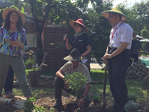 議會強要波卡名單  柯P：已越公司管理界線