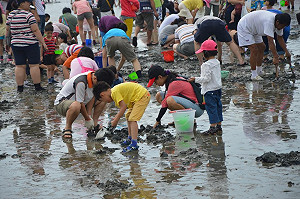 七股海鮮節熱鬧登場  摸蛤兼洗褲