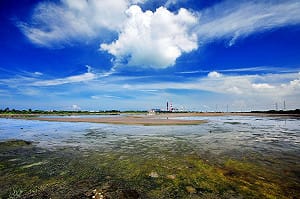 永安濕地入圍宜居城市獎 挑戰1萬英鎊