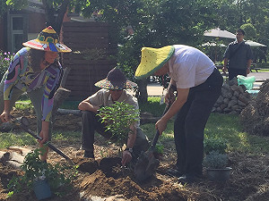 處理戴季全去留  柯P：議會不能無限上綱