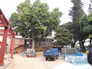 典雅市長官邸改裝委外 議員批遭「毀容」