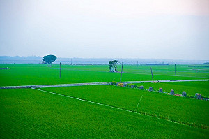 魏明谷宣布 撤回彰南產業園區開發案