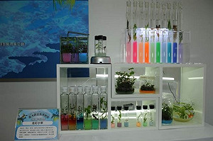 觀賞魚博覽會登場 螢光魚躍為台灣新亮點