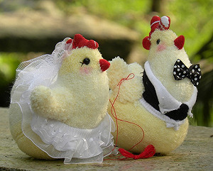 襪娃達人創作結婚儀式的「帶路雞」