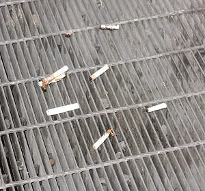 民代嗆：亂丟煙蒂累犯  得上戒菸防治課