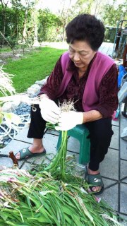 母親告別式前夕  陳菊po追思文