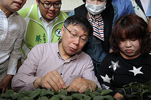 駁幫蔡易餘站台 柯宣布2016「四不」