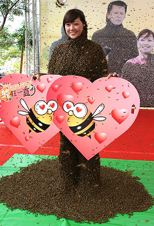 「蜂狂一夏」 經典蜂人秀超吸睛