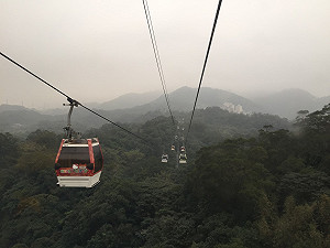 貓纜票價漲定！柯P：等三貓計畫確定再定案