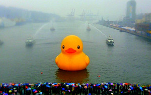 基隆賞鴨人潮湧現  出海新選擇