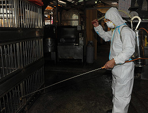 新北市場全面消毒  市府加強防疫不懈怠