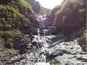 反駁北市 林務局：南勢溪混濁非關東札孔溪崩塌