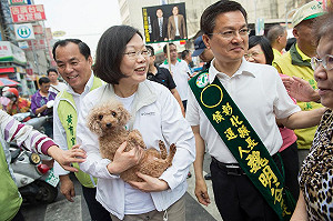綠最新民調  雲林、彰化領先 竹市落後
