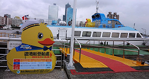 迎接中秋假期 高雄市海上賞黃鴨