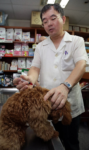 新北：全面免費施打貓狗狂犬疫苗、晶片
