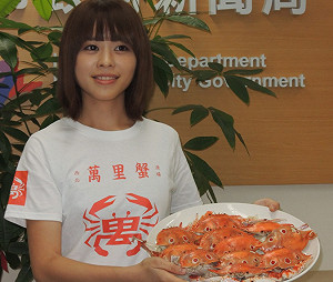 萬里蟹正當季  北海岸4區7港搶鮮去