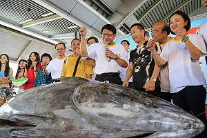 屏東黑鮪魚季登場 第一鮪366公斤破紀錄
