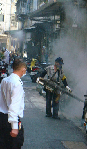新北出現首例本土登革熱病例