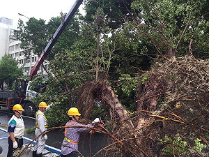 復舊加班費近3500萬 北市盼比照八仙辦理