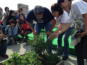毛豆豌豆分不清  連勝文：我會吃但看不懂
