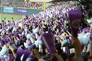 義大可能轉移主場  高市盼顧球迷感受