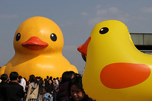 攤商若自製小鴨  霍夫曼將提前終止展期