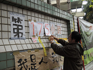 江翠老樹命運  新北市府：移植非砍樹