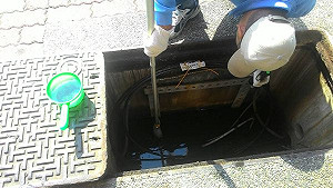 箱涵積水孳生病媒蚊 中華電信遭開罰