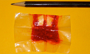 埃及男部落客郵購人工處女膜  挑戰社會禁忌