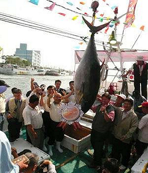 繼續濫捕 聯合國警告:40年後沒有魚可吃