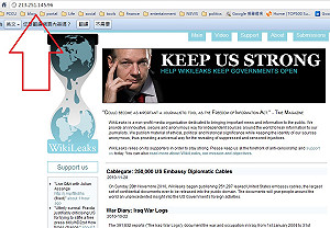 維基揭密網域名掛點 移往新網址