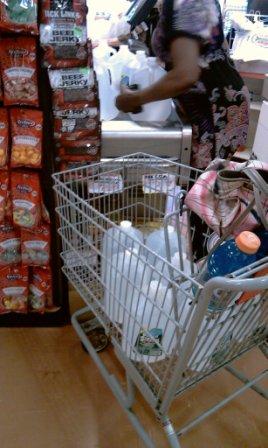 颶風艾琳將至 紐約市防災總動員