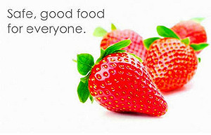 國際食品法典委員會  制定食安新標準