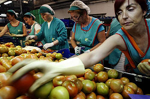 大腸桿菌蔓延  歐洲：禁止進口西班牙蔬果