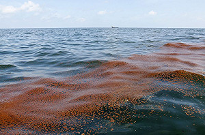 英國石油為漏油案支付天價罰款