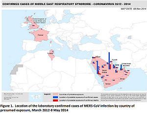 MERS通報496例 WHO緊急研商對策
