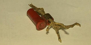 英國發現二戰軍用信鴿與密文