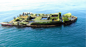 311地震魚漂流8000公里到美國