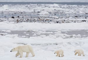 世界氣象組織：2013年有史以來第6熱！