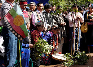 智利凶案引發族群緊張 馬普切族要求公平待之