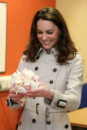 愛爾蘭報紙總編 刊登凱特王妃上空照辭職