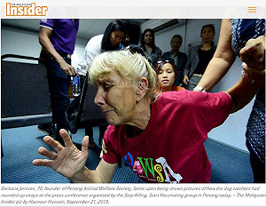 檳城撲殺流浪狗堵狂犬病  國際動保人士跪求