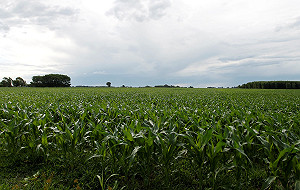 阿根廷：台灣在拉美第4大貿易夥伴國