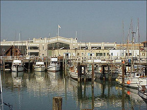 舊金山市治醉客便溺  廣塗反彈尿液油漆