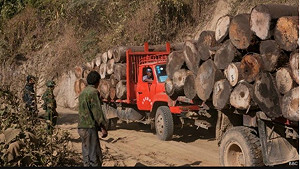 153名中國山老鼠 緬甸法院重判無期徒刑